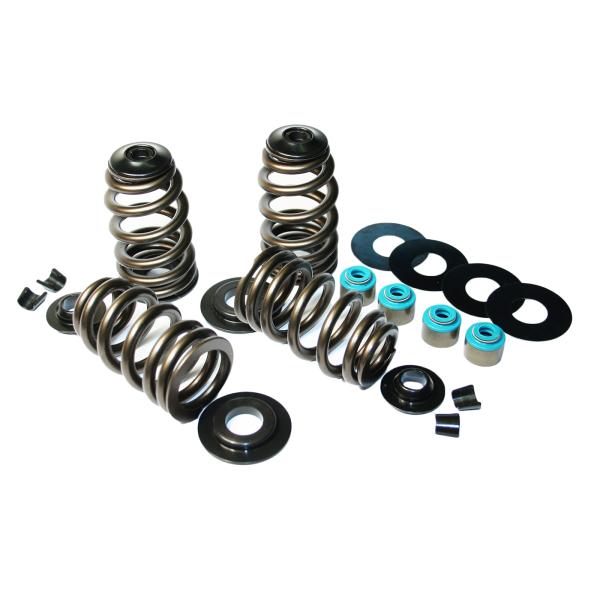 ECONO BEEHIVE SPRING KIT