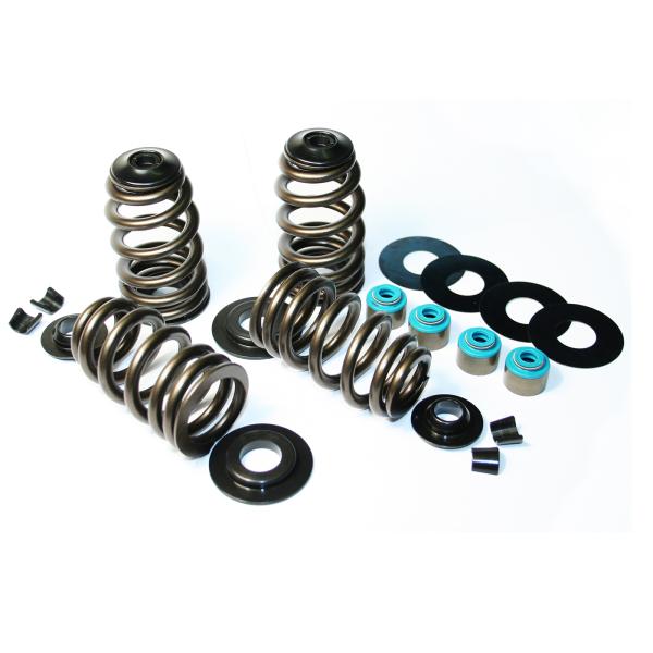 ECONO BEEHIVE SPRING KIT