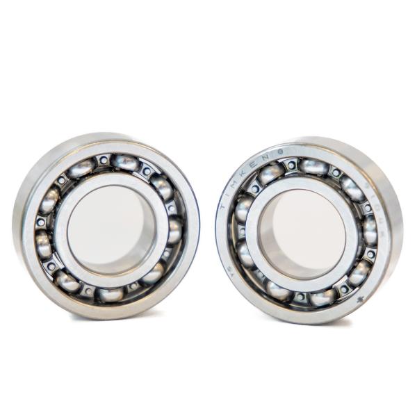 CAM BEARINGS