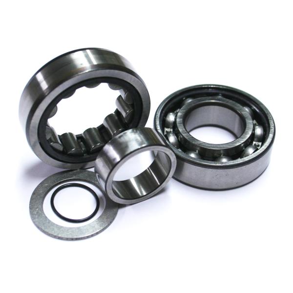 CAM BEARINGS